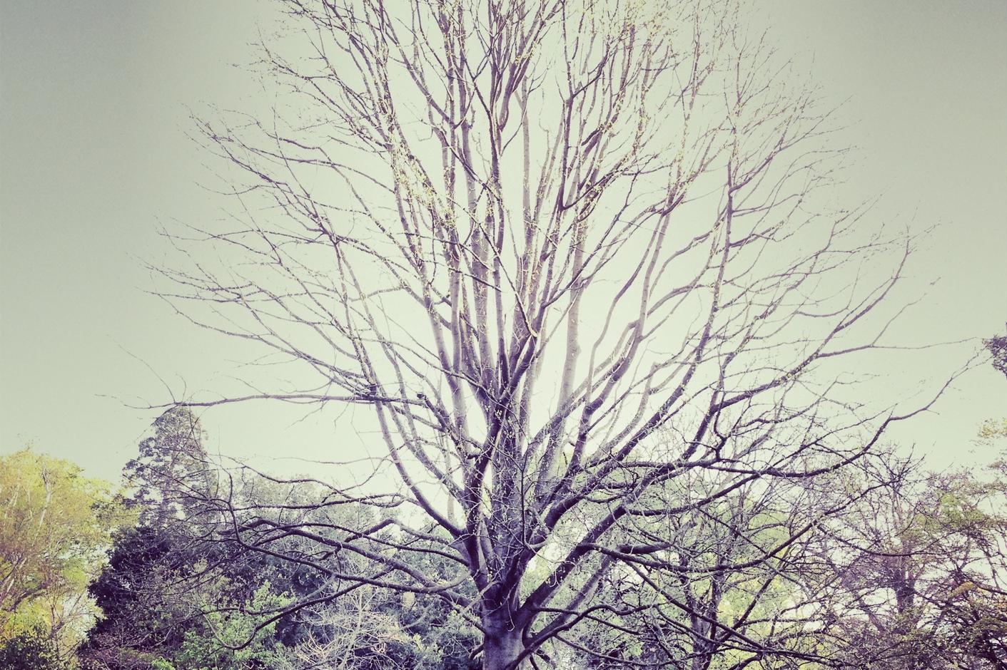 Voluptas impedit autem cupiditate