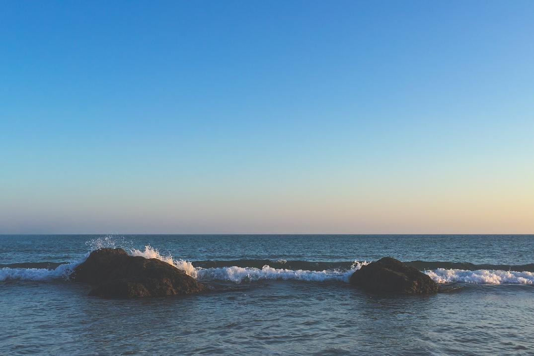 Ipsam architecto neque molestiae ut